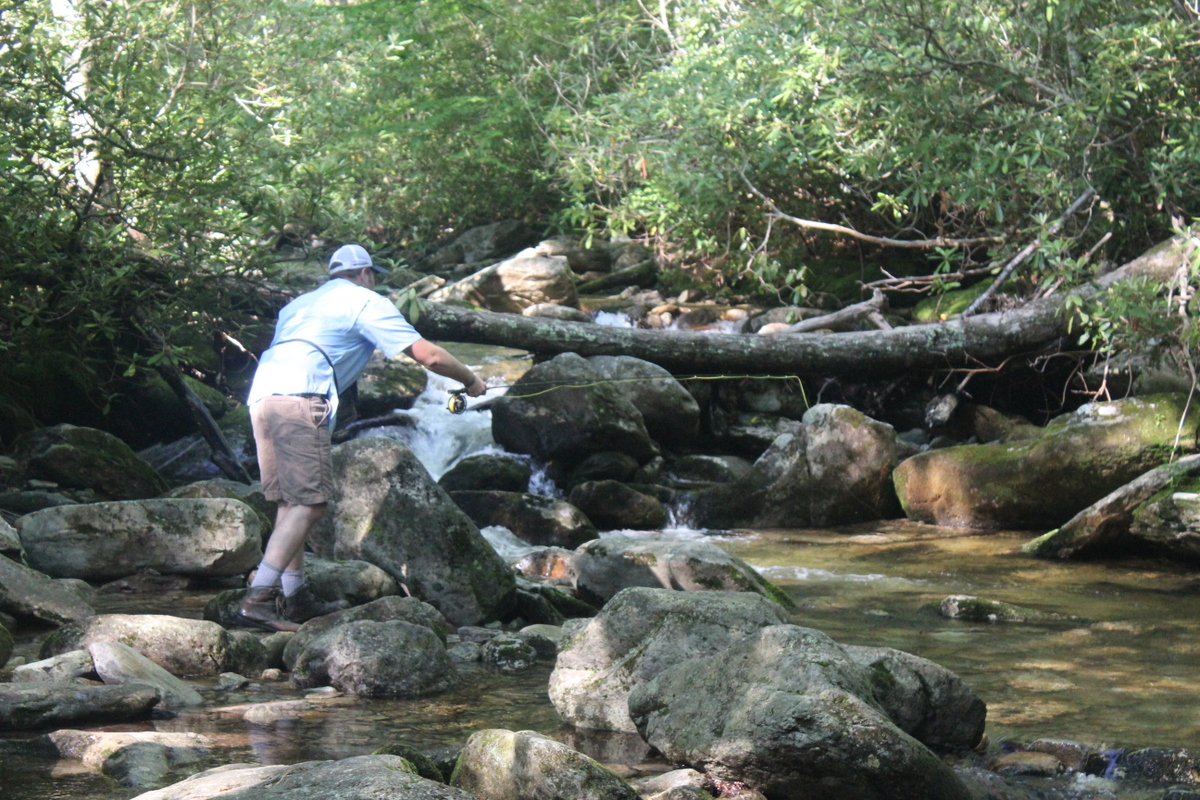 Blue Line Bonanza The Many Fishable Feeders of Deep Creek ON THE FLY