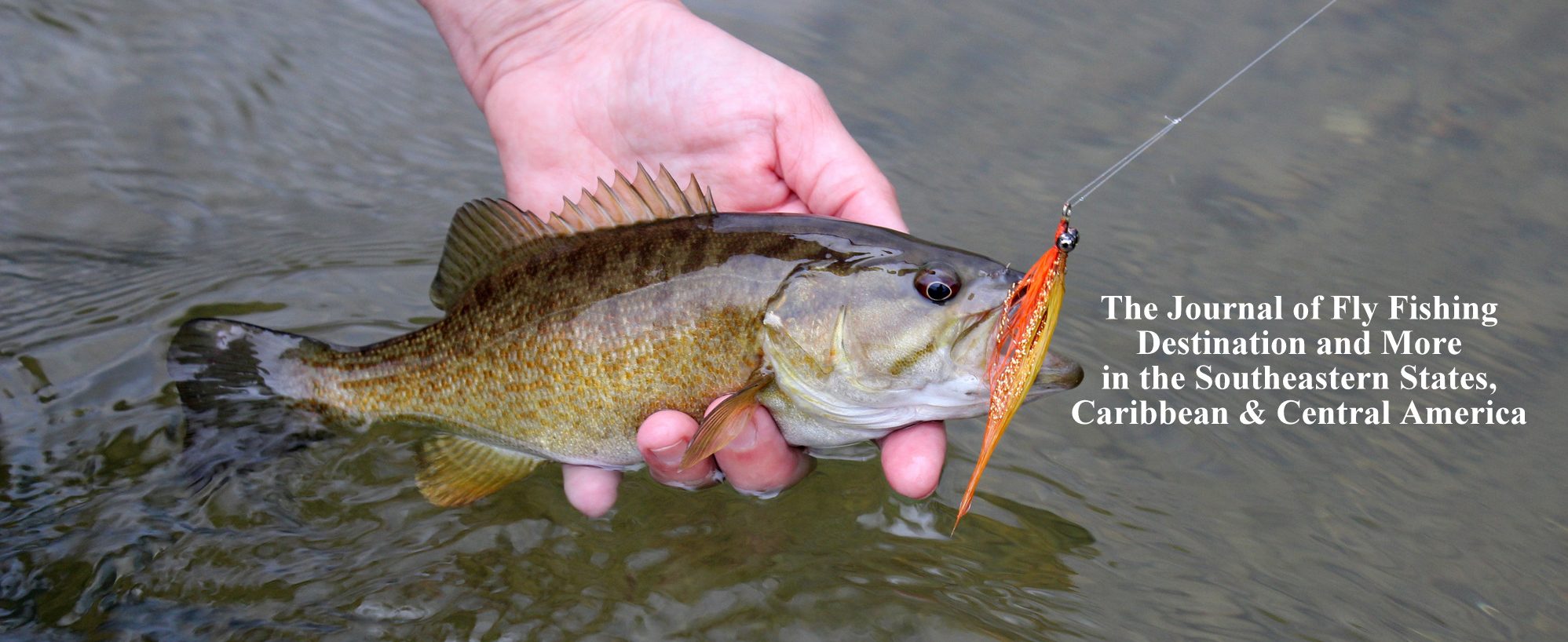 ON THE FLY SOUTH