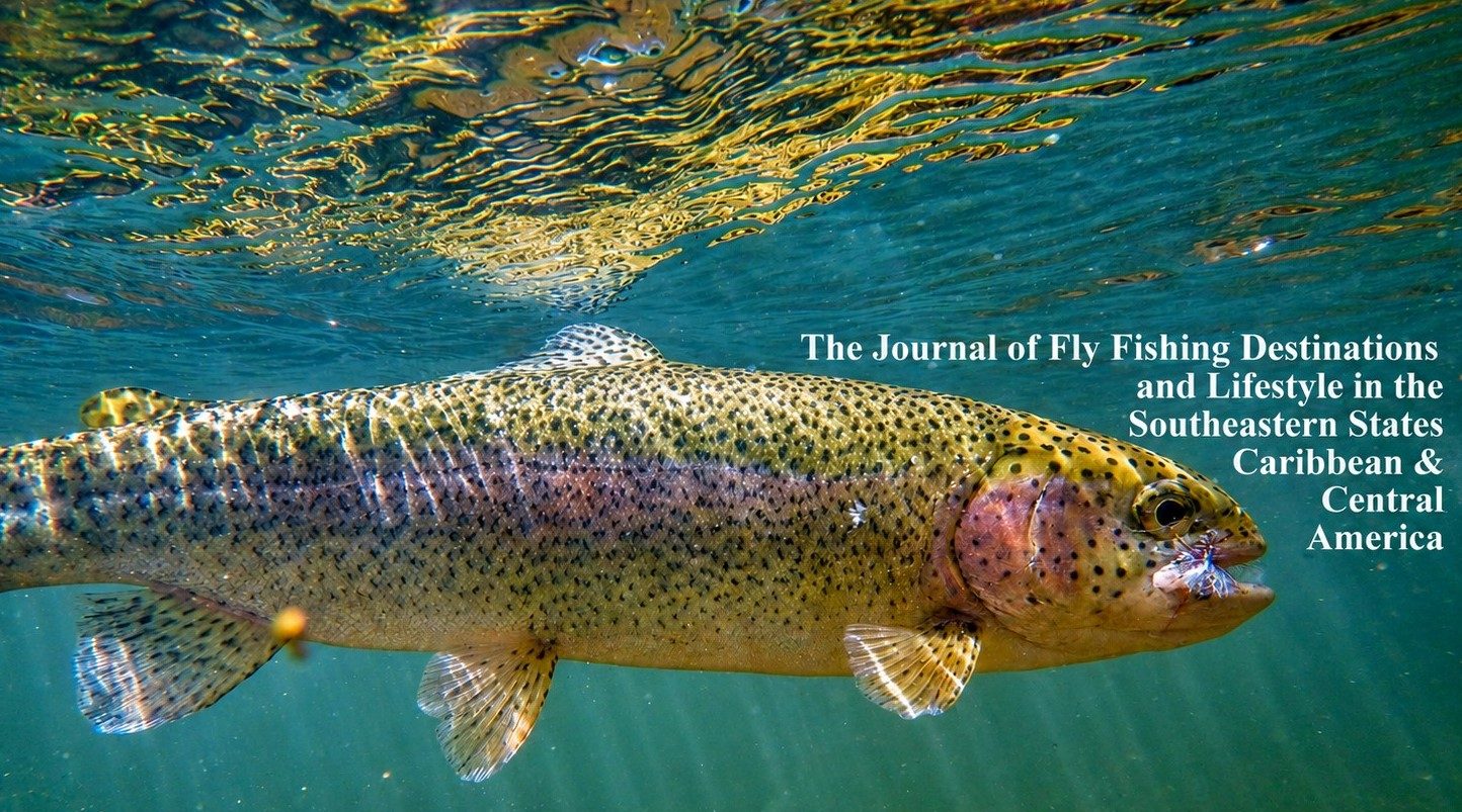 ON THE FLY SOUTH
