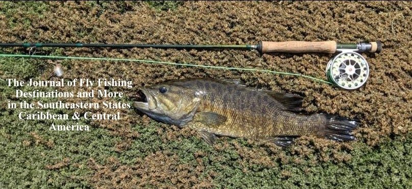 ON THE FLY SOUTH