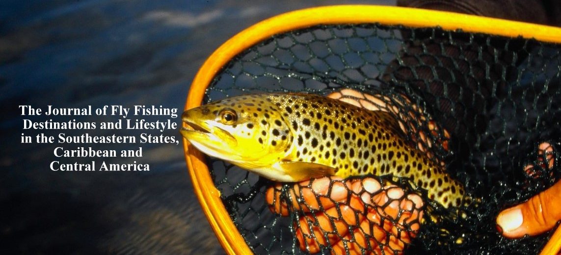 ON THE FLY SOUTH