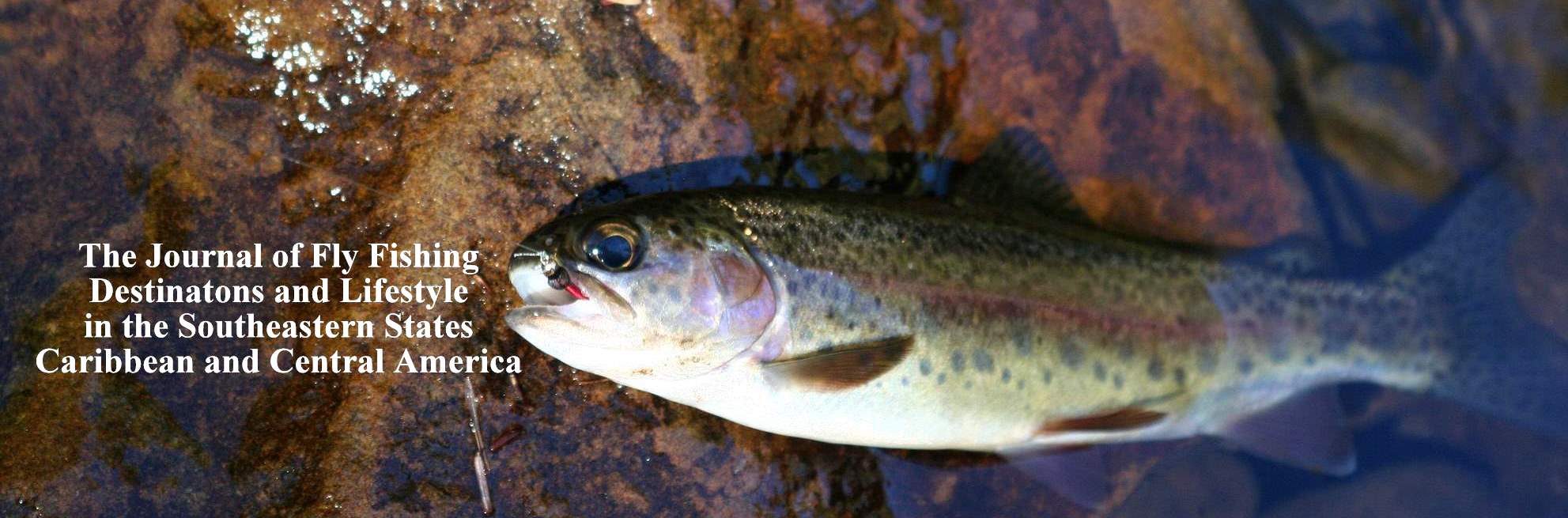 ON THE FLY SOUTH